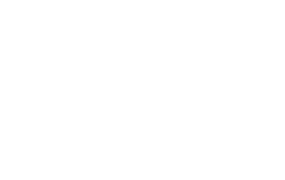 Partner logo 3