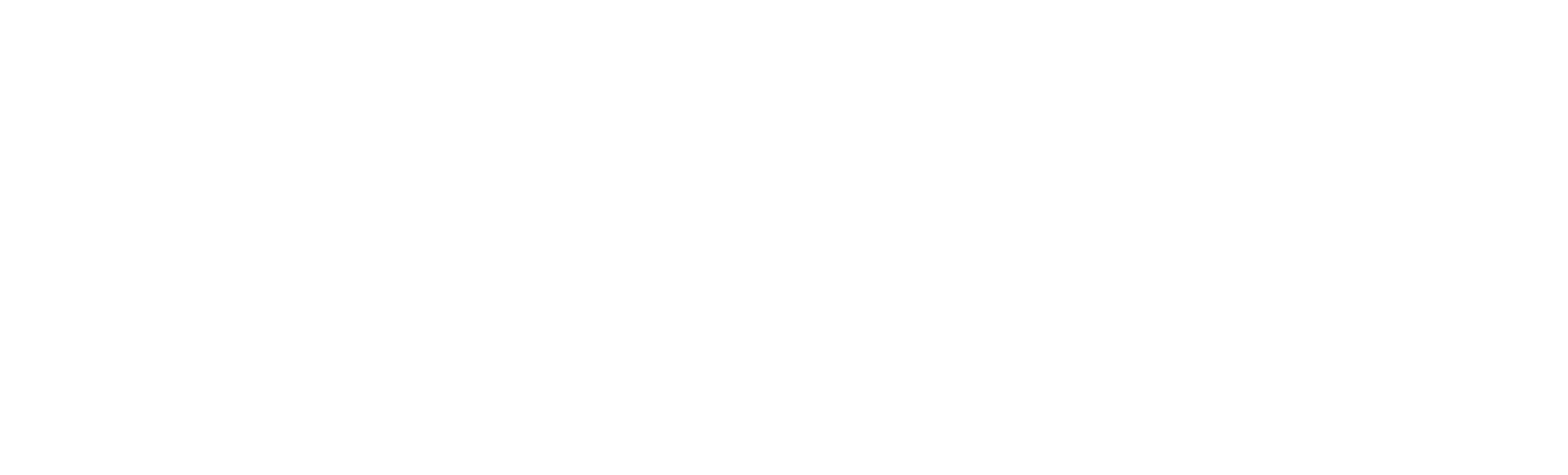 Partner logo 1