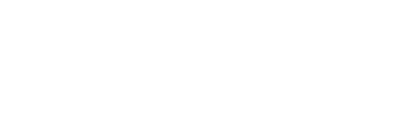 Partner logo 6