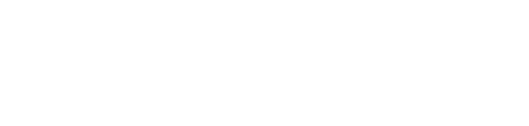 Partner logo 4